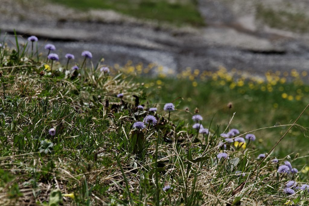 20120630_131